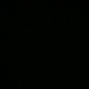 Meet your Posher, Regan